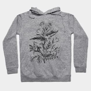 Flower Bouquet Black and White Vintage Botanical Illustration Hoodie